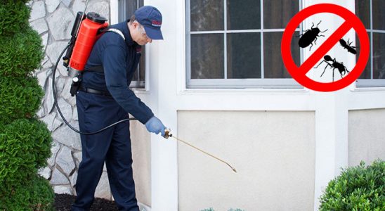 Doğanşar Gümüşkurt İlaçlama böcek ilaçlama ve haşere kontrolü — ilaclama-tr.com